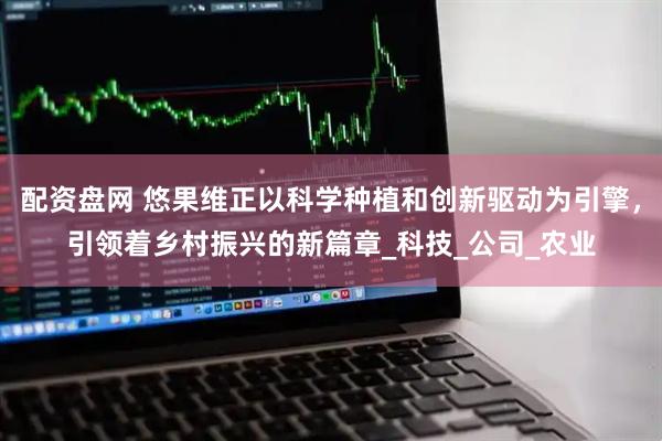 配资盘网 悠果维正以科学种植和创新驱动为引擎，引领着乡村振兴的新篇章_科技_公司_农业